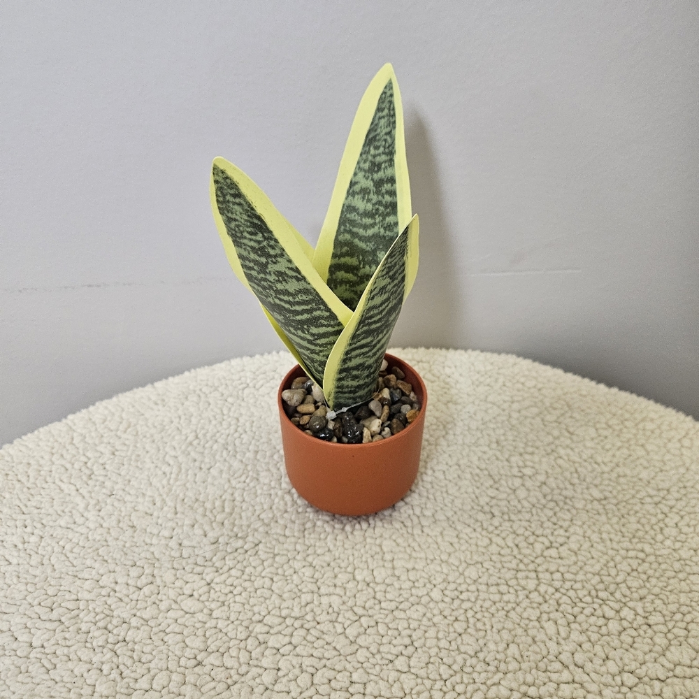 Green and Yellow Reptile Plant Decor - Picture 2 of 8